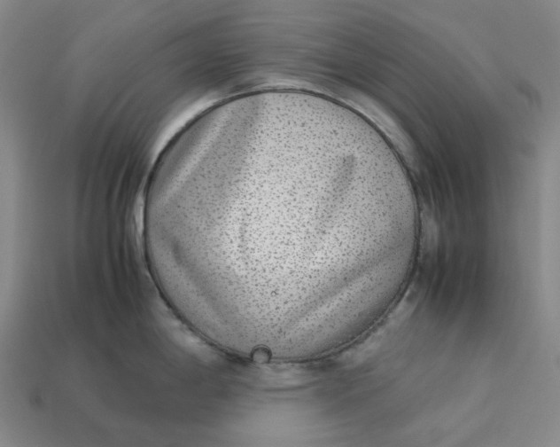 X0000113261198200910011401