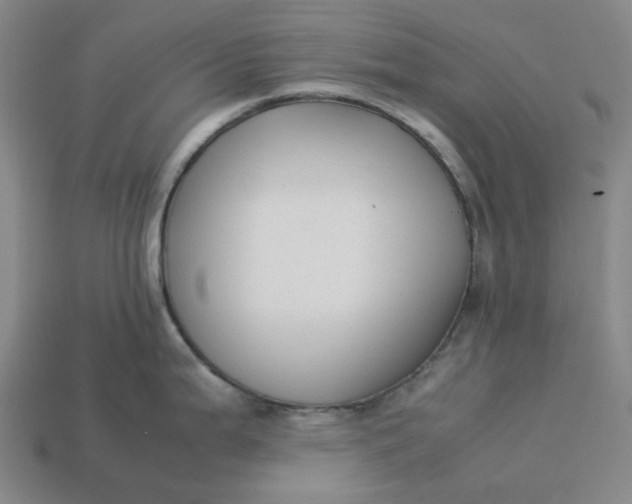 X0000113261199200910011401