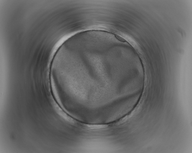 X0000113261200200910011400