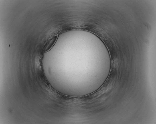 X0000113261202200910011400