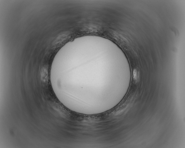 X0000113261203200910011400