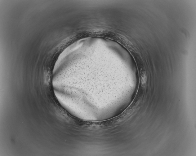 X0000113261204200910011400