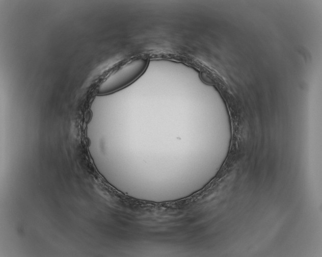 X0000113261207200910011400