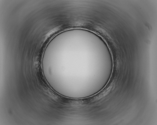 X0000113261210200910011400