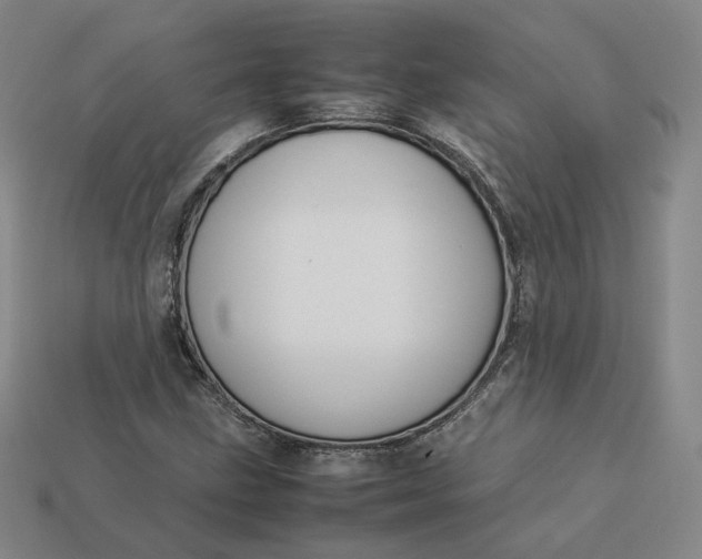 X0000113261211200910011400