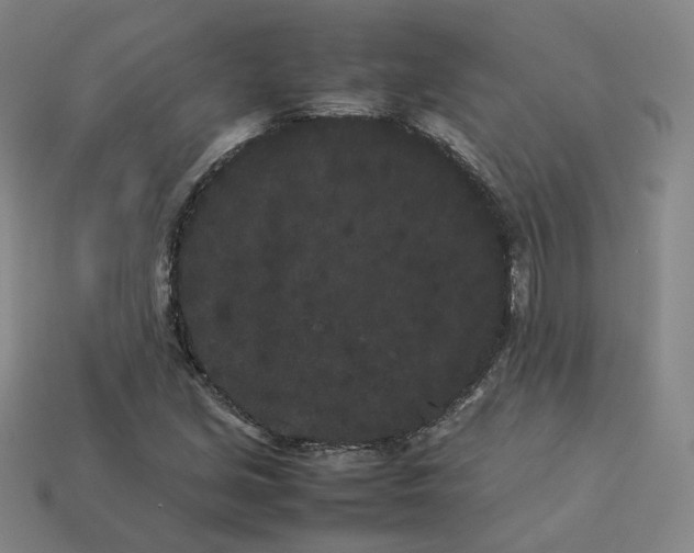 X0000113261213200910011400