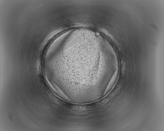 X0000113261215200910011400