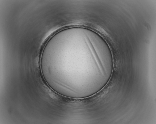 X0000113261216200910011400