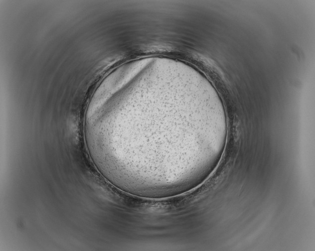 X0000113261217200910011400