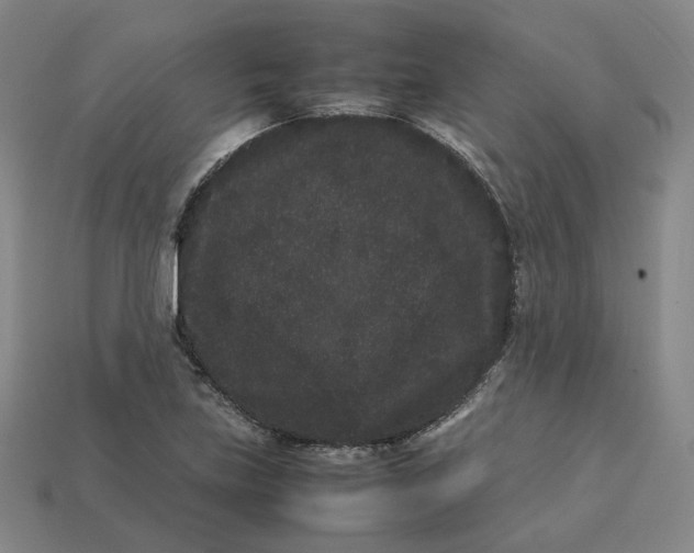 X0000113261219200910011400