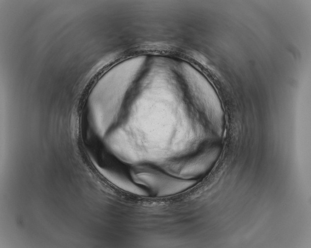 X0000113261221200910011400