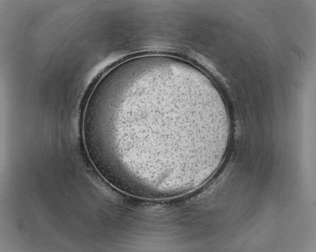 X0000113261222200910011400