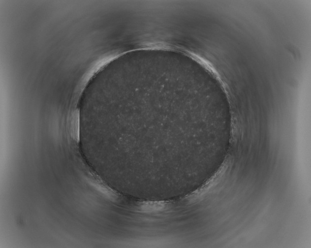 X0000113261223200910011400