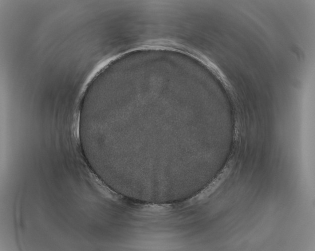 X0000113261224200910011400