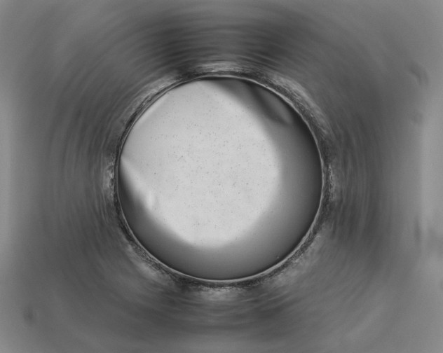 X0000113261225200910011400