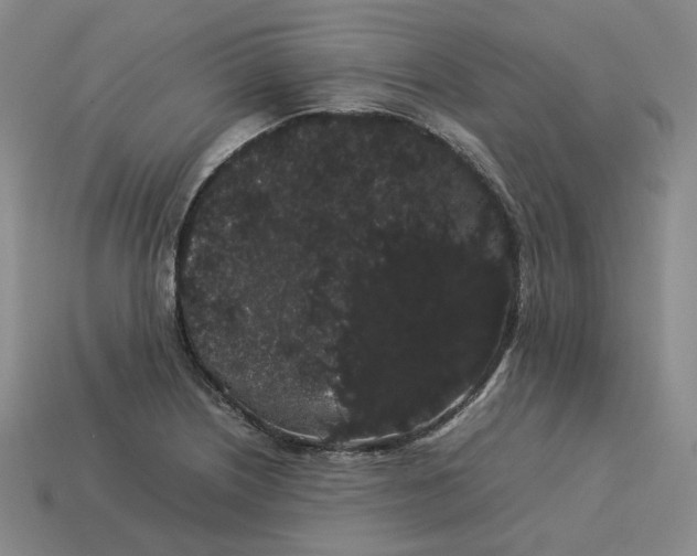 X0000113261226200910011400