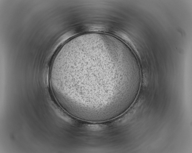 X0000113261227200910011400