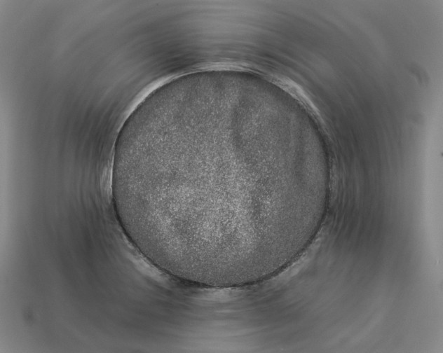 X0000113261228200910011400