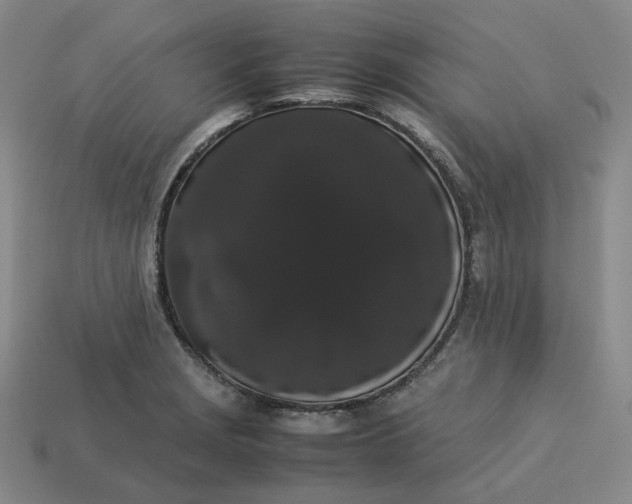 X0000113261229200910011400