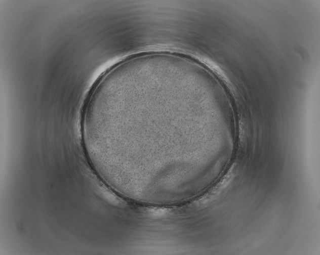 X0000113261230200910011400