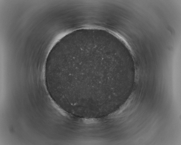 X0000113261231200910011400