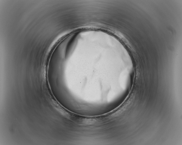 X0000113261232200910011400