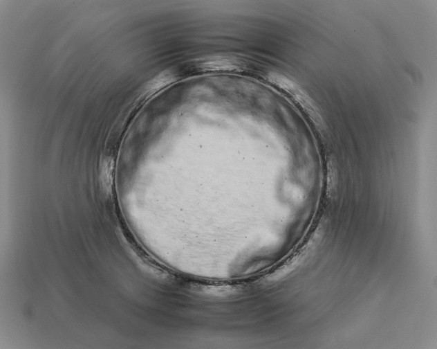 X0000113261233200910011400