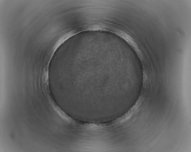 X0000113261234200910011400