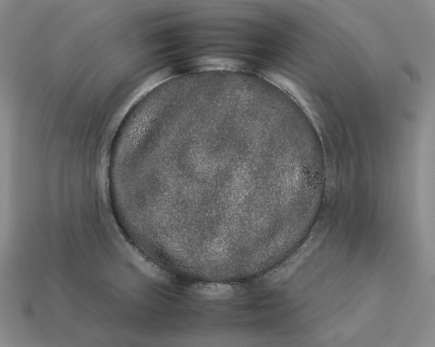 X0000113261235200910011400