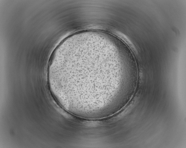 X0000113261236200910011400