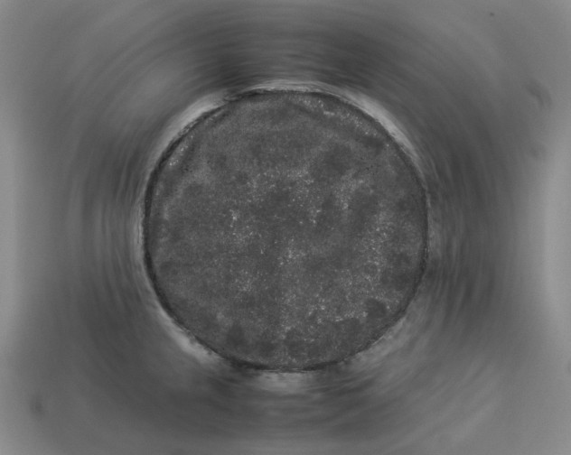 X0000113261237200910011400