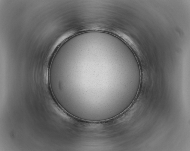 X0000113261238200910011400