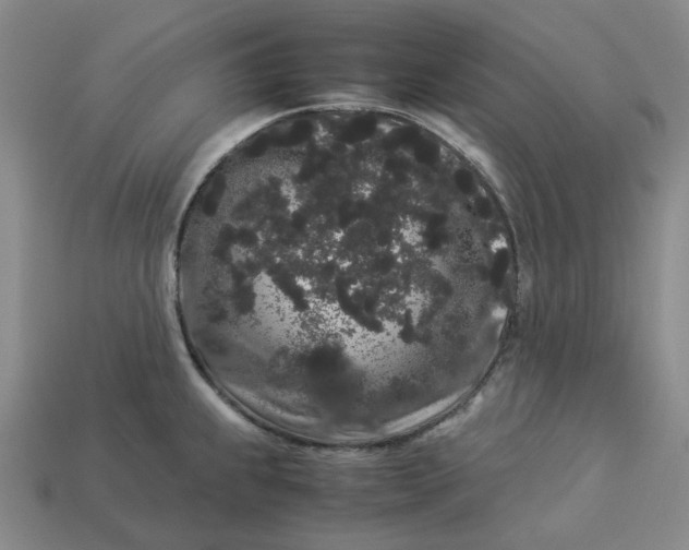 X0000113261239200910011400