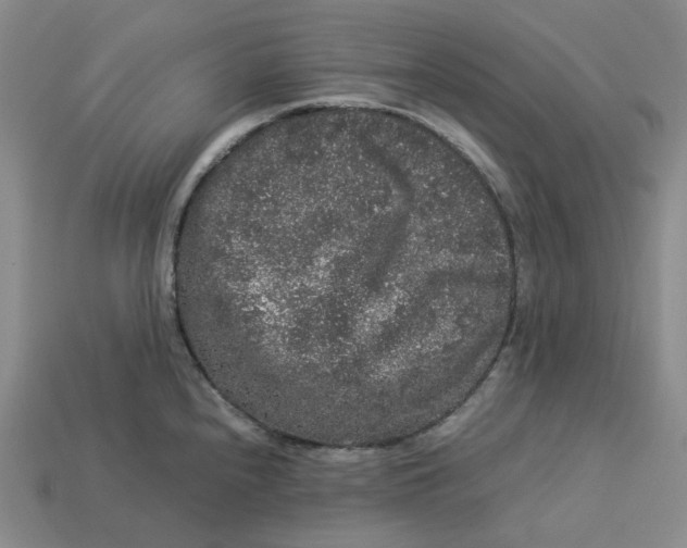 X0000113261240200910011400