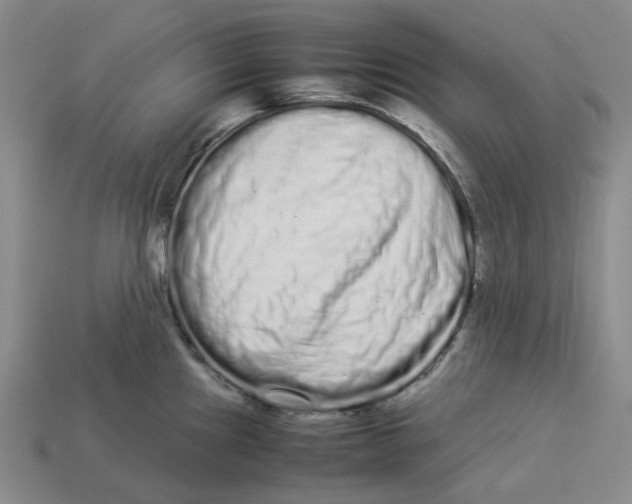 X0000113261241200910011400