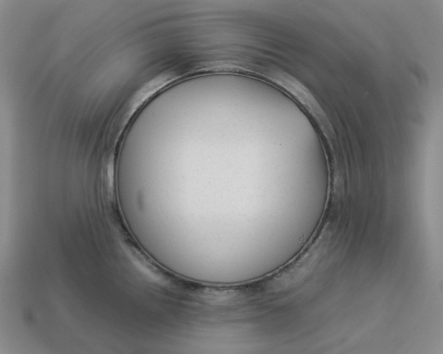 X0000113261242200910011400