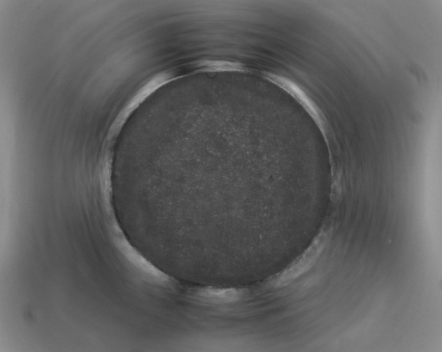 X0000113261243200910011400