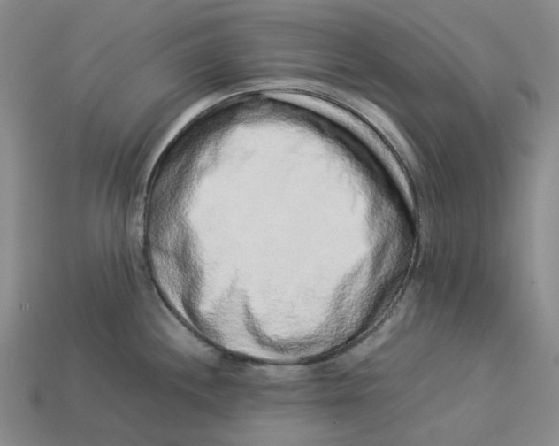 X0000113261244200910011400