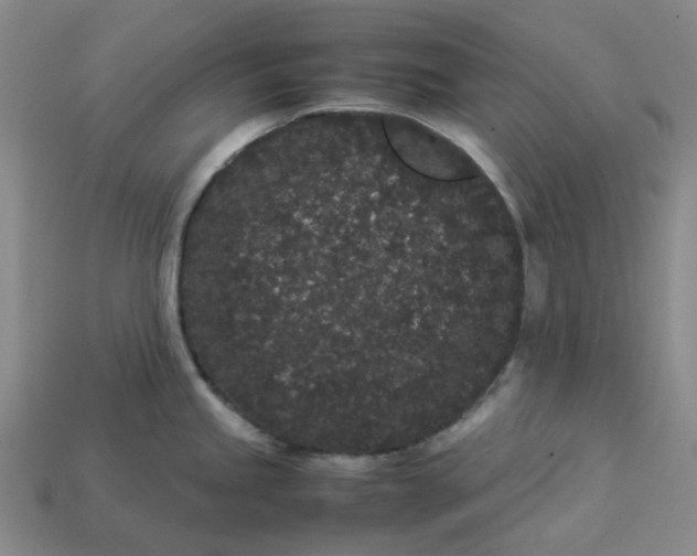 X0000113261245200910011400