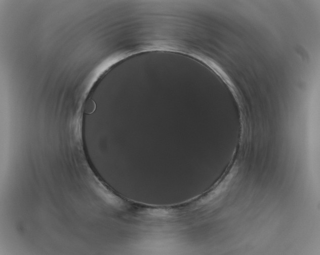 X0000113261246200910011400