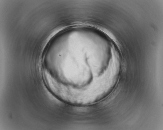 X0000113261247200910011400