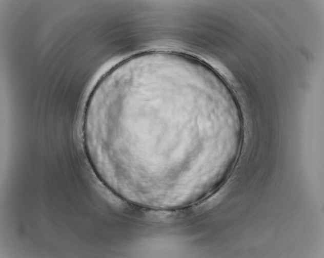 X0000113261248200910011400