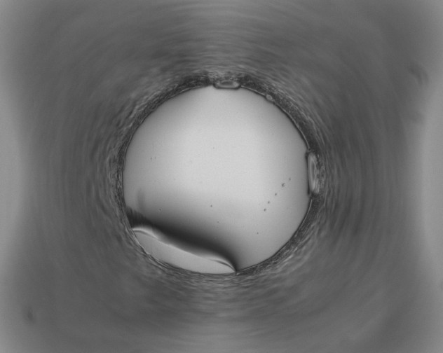 X0000113261249200910011400