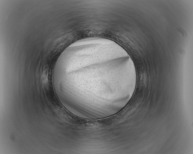 X0000113261250200910011400