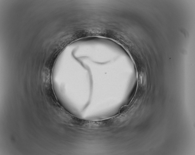 X0000113261251200910011400