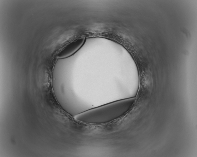 X0000113261253200910011400