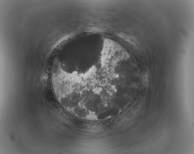 X0000113261254200910011400