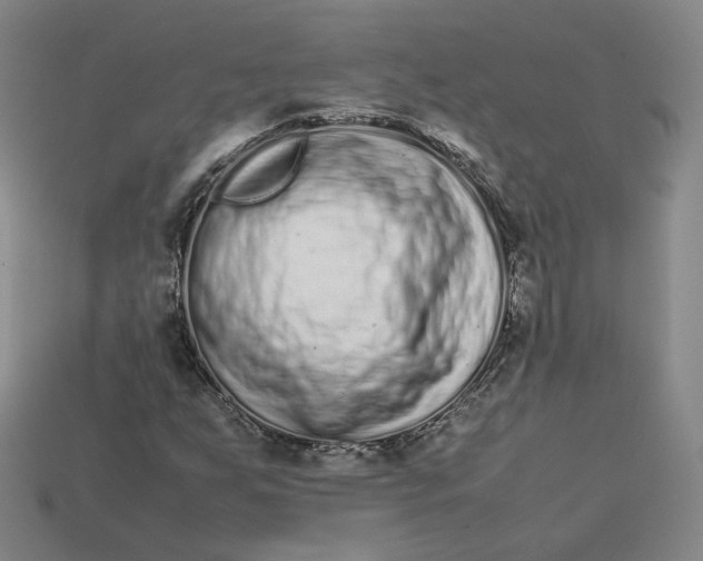 X0000113261255200910011400