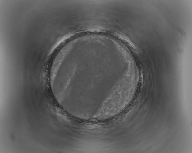 X0000113261256200910011400