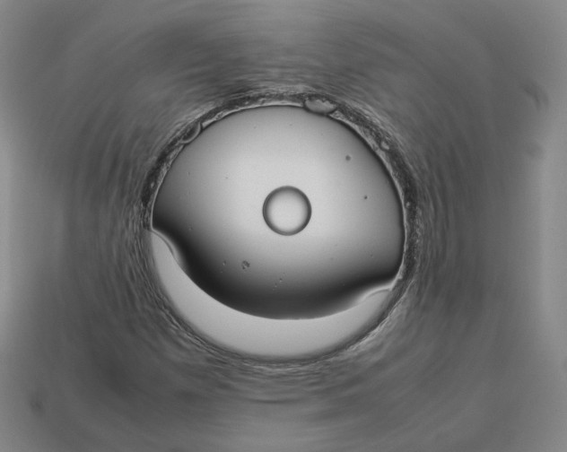 X0000113261257200910011400